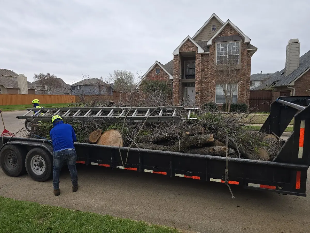 Expert Tree Fertilization with proper safety equipment in Box Elder